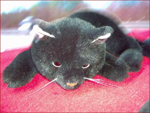 AMI 2004 - Albumbild 140 von 140