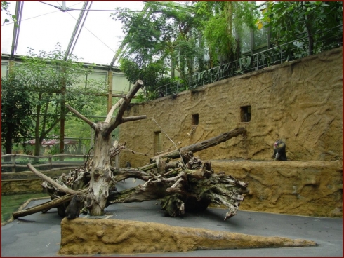 Nissan im Zoo & September Treffen 2007 - Albumbild 2 von 37