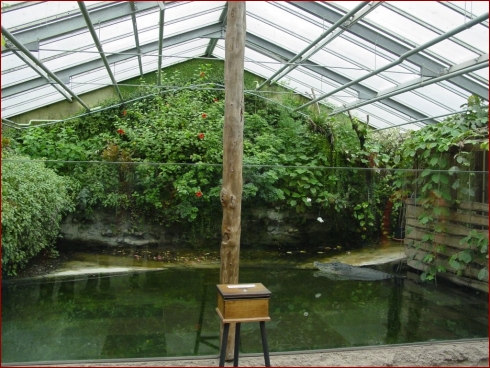 Nissan im Zoo & September Treffen 2007 - Albumbild 13 von 37