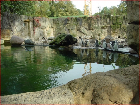 Nissan im Zoo & September Treffen 2007 - Albumbild 23 von 37