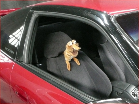 Japan All Stars 2008 - Albumbild 181 von 233