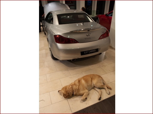 Eröffnung Infiniti Zentrum Dresden - Albumbild 34 von 72