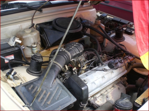 Cult-Style Saisonauftakt - Albumbild 96 von 196