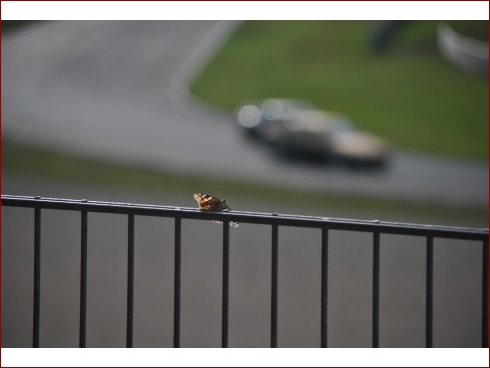 Reisbrennen 2011 - Albumbild 389 von 511