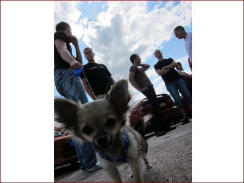 9 Jahre Nissanfreunde-Dresden - Albumbild 22 von 55