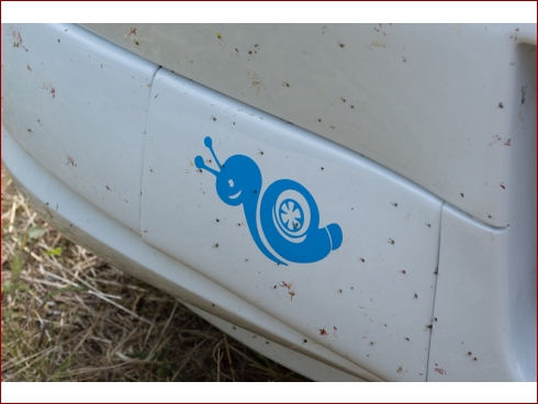 10. int. Harztreffen 2013 - Albumbild 111 von 150