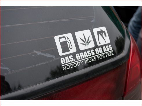 August Treffen - Albumbild 38 von 46