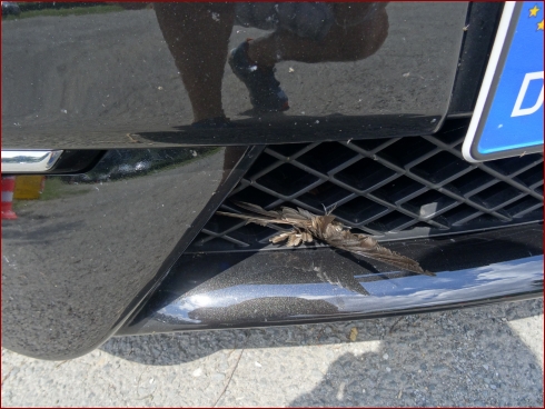 4. NissanHarzTreffen - Albumbild 16 von 393