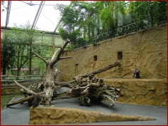 Vorschaubild des Albums - Nissan im Zoo & September Treffen 2007